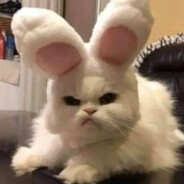 попа avatar