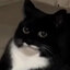 Floop