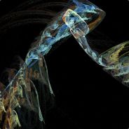 multicolor monkey madness