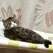 Ｈｕａｎｇｓｈａｎ