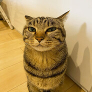 moagie!