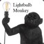 Lightbulb Monkey