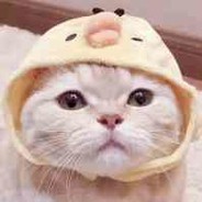 李二
