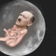 Baby Moon Hitler