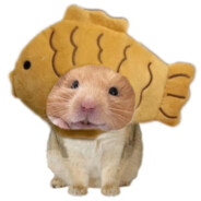 打不动了先吃饭吧