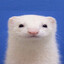 : 3