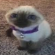 Аватар peTuIIIoK