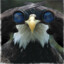 Surveyor Eagle