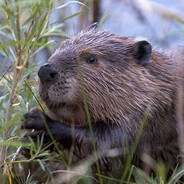 𝖛𝖔𝖎𝖙𝖙𝖙