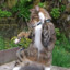 Disco cat