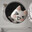 miffy <3