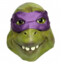 Donatello