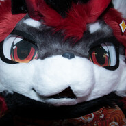 超大一只的乌鸫