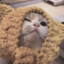 xxmiao