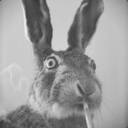 Seaman - steam id 76561197965617830