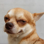 เก๋าเจ้ง