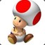 Toad[NsK]