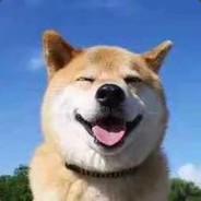 别打我 我长得帅