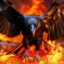 Fireraven