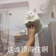 小枪一马摸爬滚打