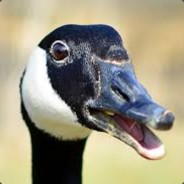 CanadianGoose