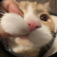 凌晨三点偷吃亡妻贡品