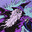 wizard gaming49