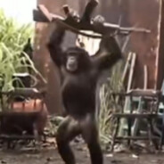 ʏᴬᴷ花果山悍匪孙悟空