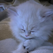 Aspirin avatar
