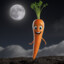 NightCarrot