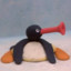 Noot