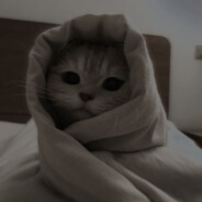 akhmsao - steam id 76561198255886317