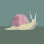 snailgard3n
