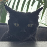 minto's avatar