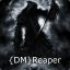 {DM}Reaper