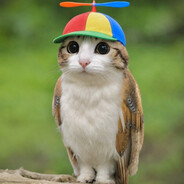 Yahudi Meowl