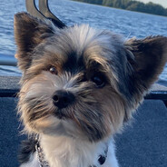 Obersturmführer - steam id 76561198077957598