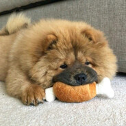 Phenobarbitalum enjoyer