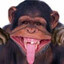 JPF_Kubicekmore