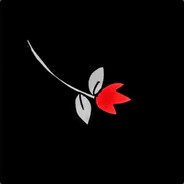 PEngu avatar