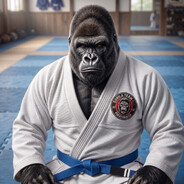 lalazinhoBJJ's avatar