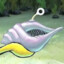 magic conch