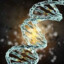 DNA