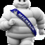 Michelin Lastik Adam