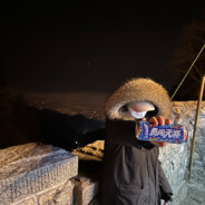 别打了我是酱油