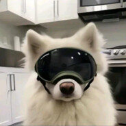 魔魔胡胡胡萝卜