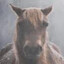 Evil and Intimidating Horse