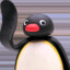 Pingu