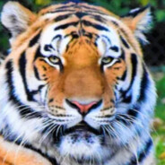 urbanovichstepan2012