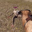 Farmbot 2